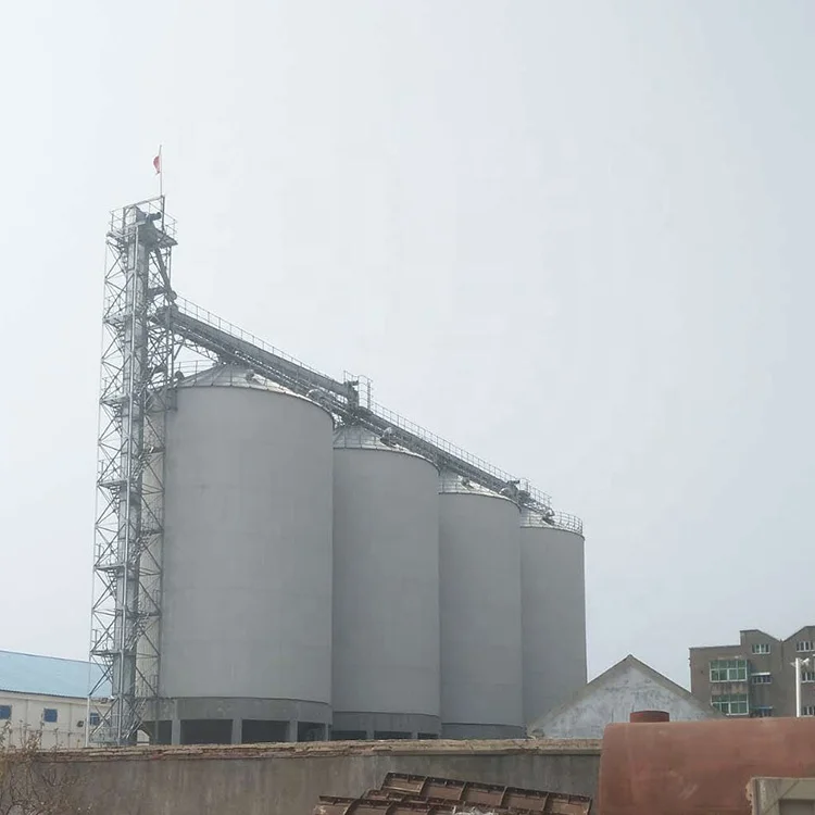1000m3 grain storage steel silo