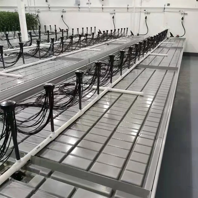 Hydroponic flood tables and trays ebb and flow rolling bench in America