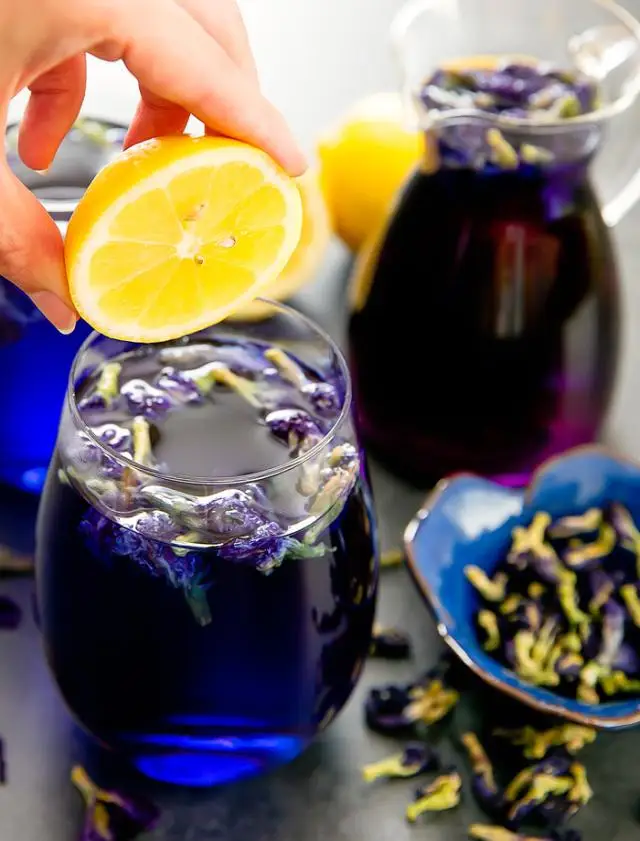 
Butterfly Pea Flower Tea Blue Tea 