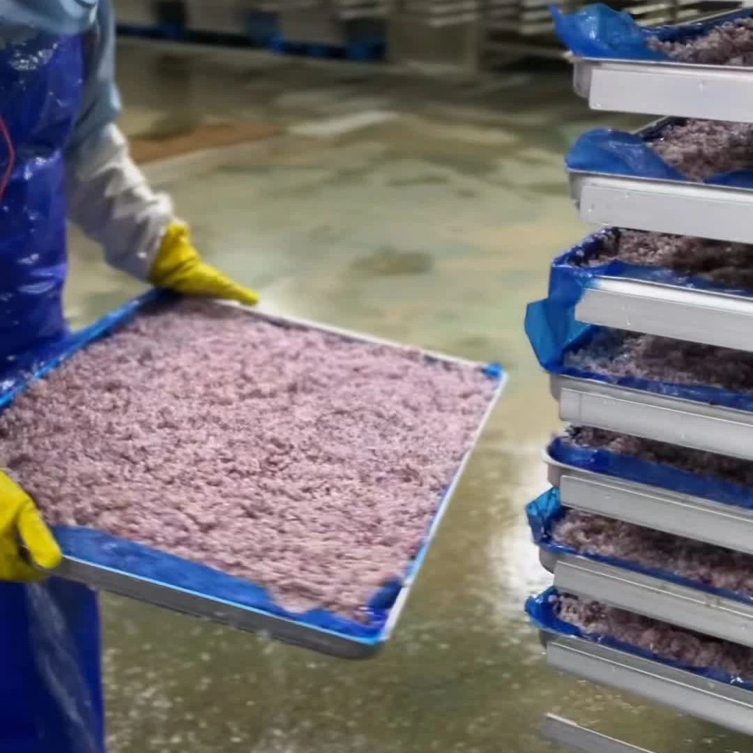 Wholesale Crispy FD Red Onion Freeze Dried Onion Flakes