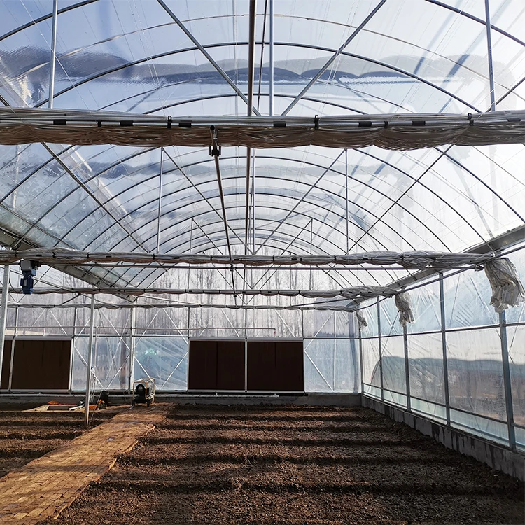Policarbonato сельскохозяйственные туннельные теплицы с высокой нагрузкой на снег навес солнечная панель теплица