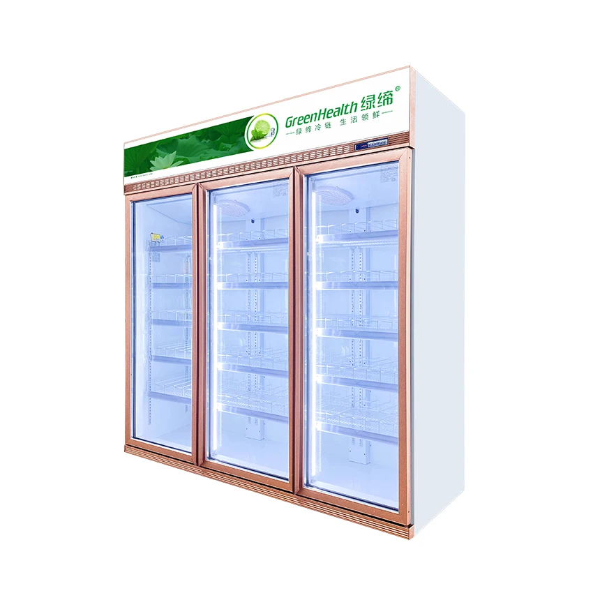 Free Frosted Supermarket Retail Shop Inverter Chiller Glass Door Refrigerator Drinks Display Fridge
