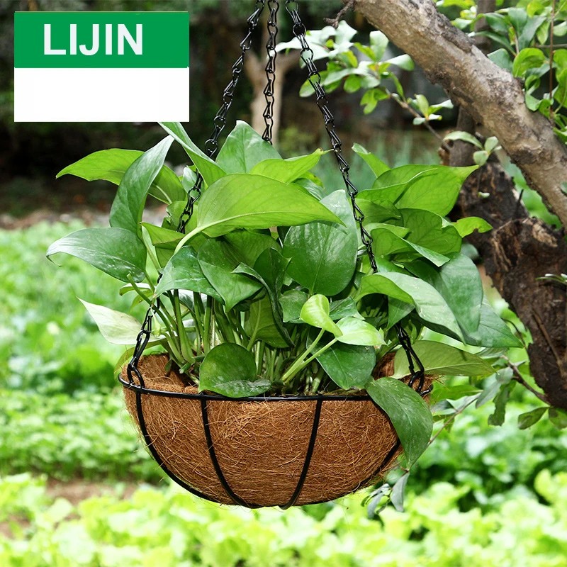 Coconut Fiber Wall-mounted Hanging Basket Flower Plant Basket