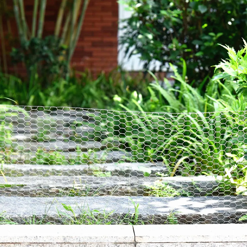 Free samples chicken hexagonal wire mesh for encircle poultry or garden