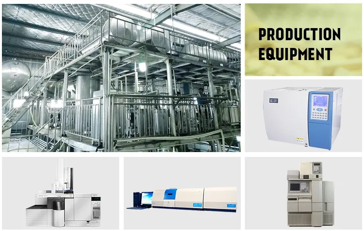 Natural Chinese Plant Extract Motherwort Herb Extract