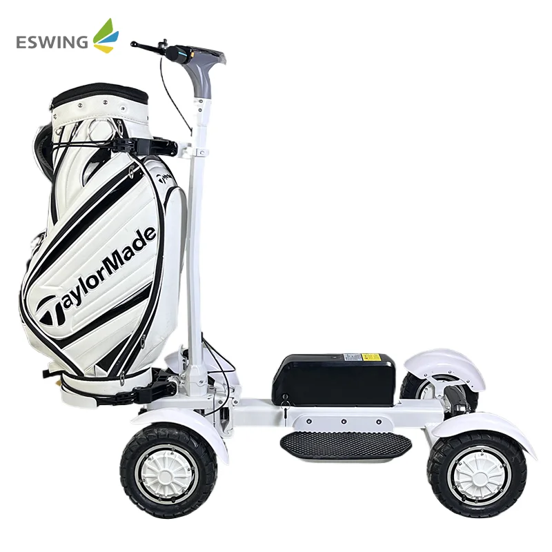 single seat golf cart wholesale price lithium ion batteries 4 wheels motorized 2400W mobility micro golf kart for adults