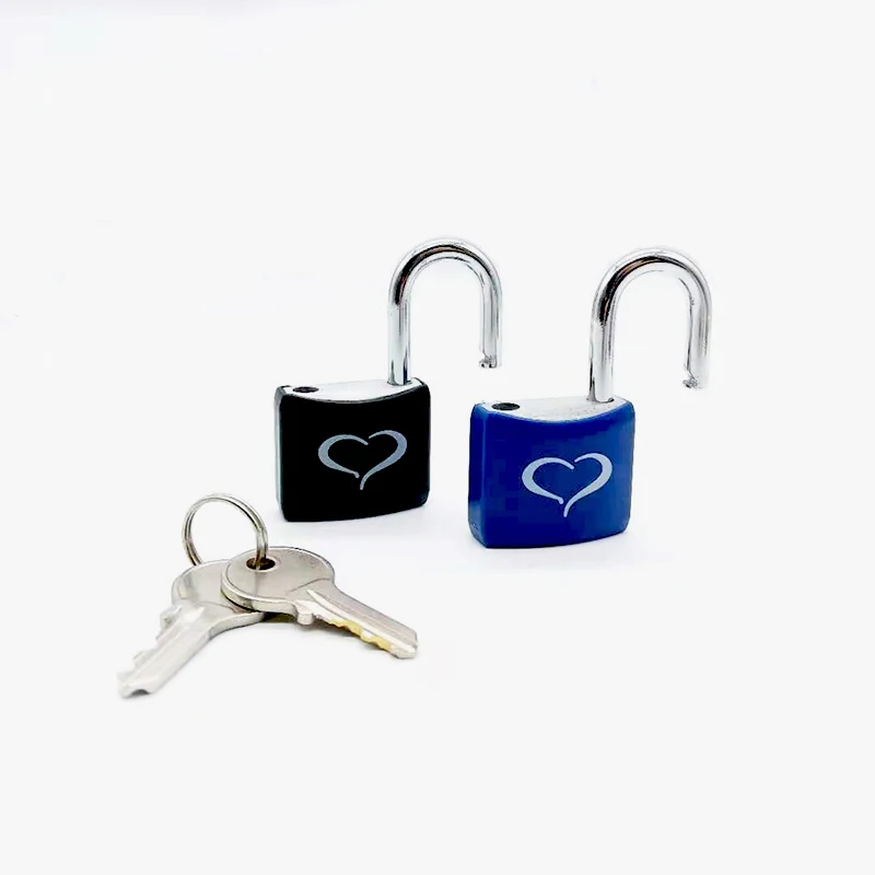 Free Sample Cheap and Popular Security Lock And Key Special Design Padlock World Brand Aluminum Padlocks