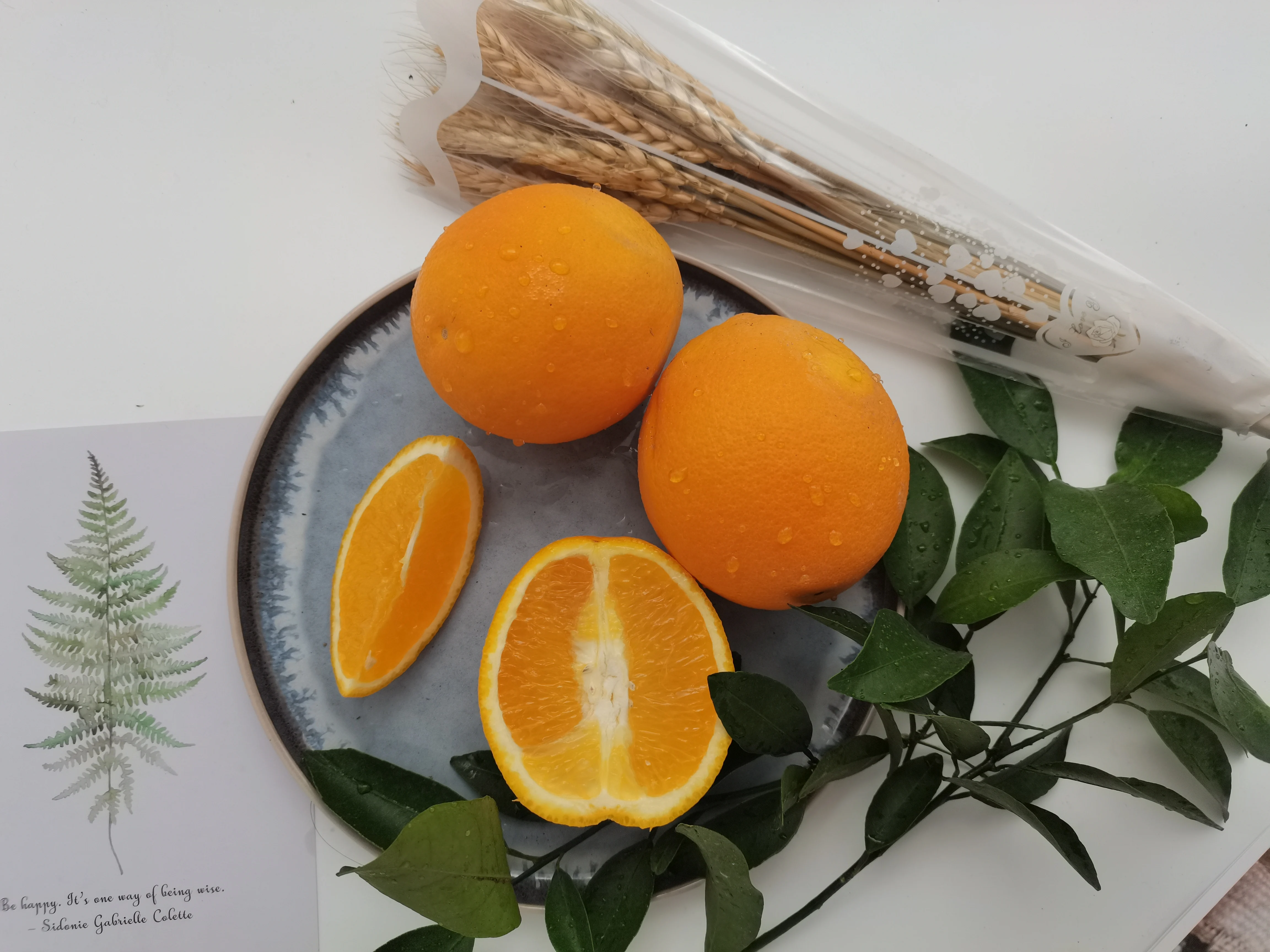 Premium Fresh Citrus fruits Top Grade Chinese Tangerine fruits Chunjian Mandarin orange fresh fruit