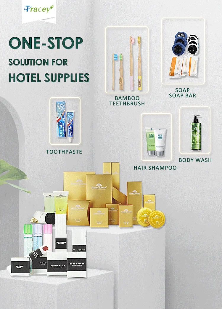 Custom Luxury OEM 5 Star Disposable Biodegradable Eco Friendly Guest Toiletries Kit Accessories Set for Bathroom Hotel Amenities