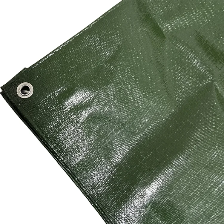 China Pe Tarpaulins Waterproof Canvas Heavy Duty Tarpaulin