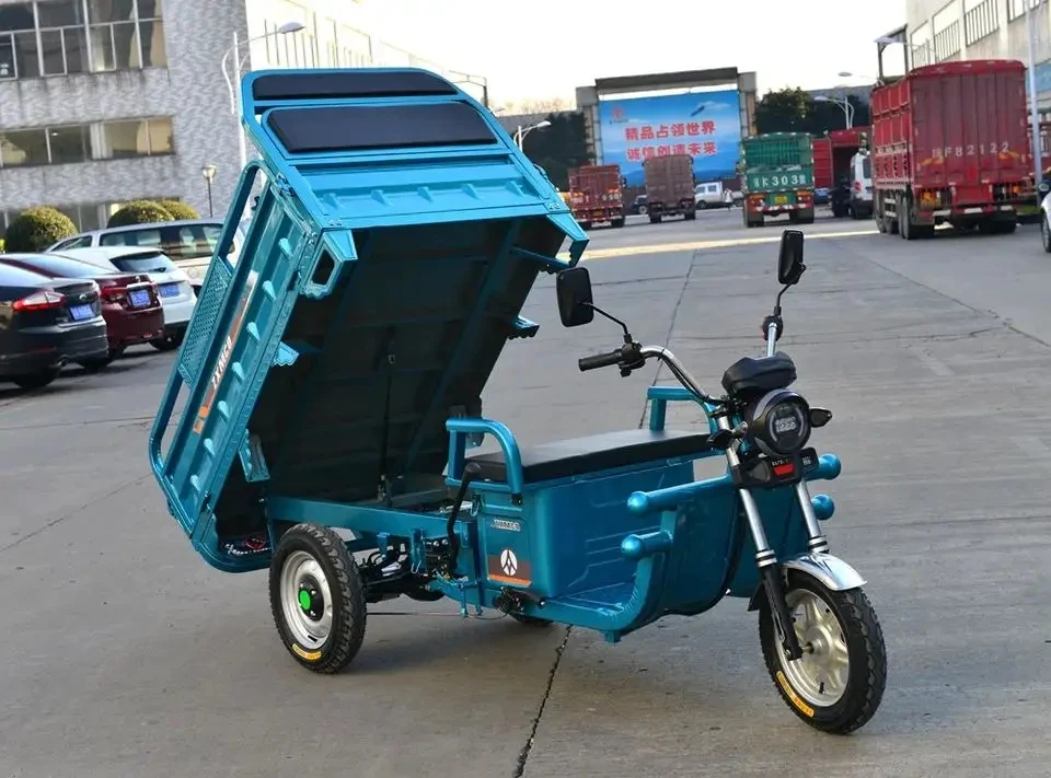 Powerfull 800W/1000W/1200W Tricycle Adult Electric Cargo Bike Trikes  Motored electric tricycle cargo Open