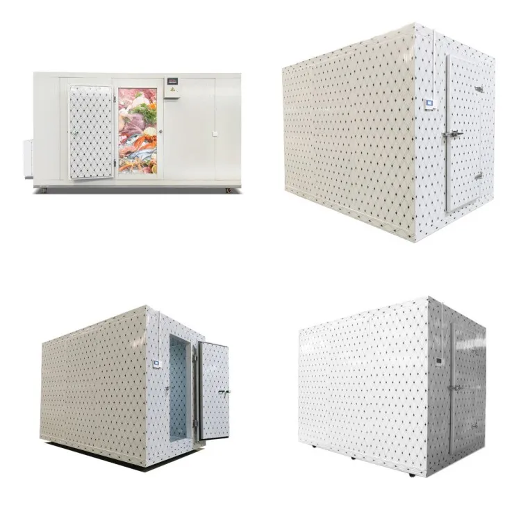 25 Cbm Walk In Freezer Mobile Container Best Rechargeable Battery Solar Power for fish meat vegetable Cold Storage Room