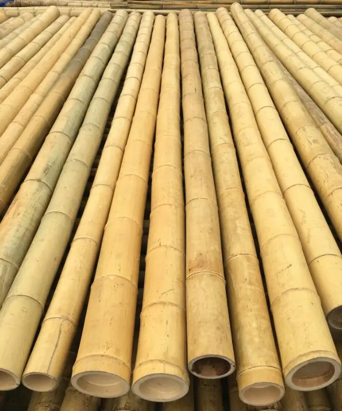 Moso bamboo poles for construction