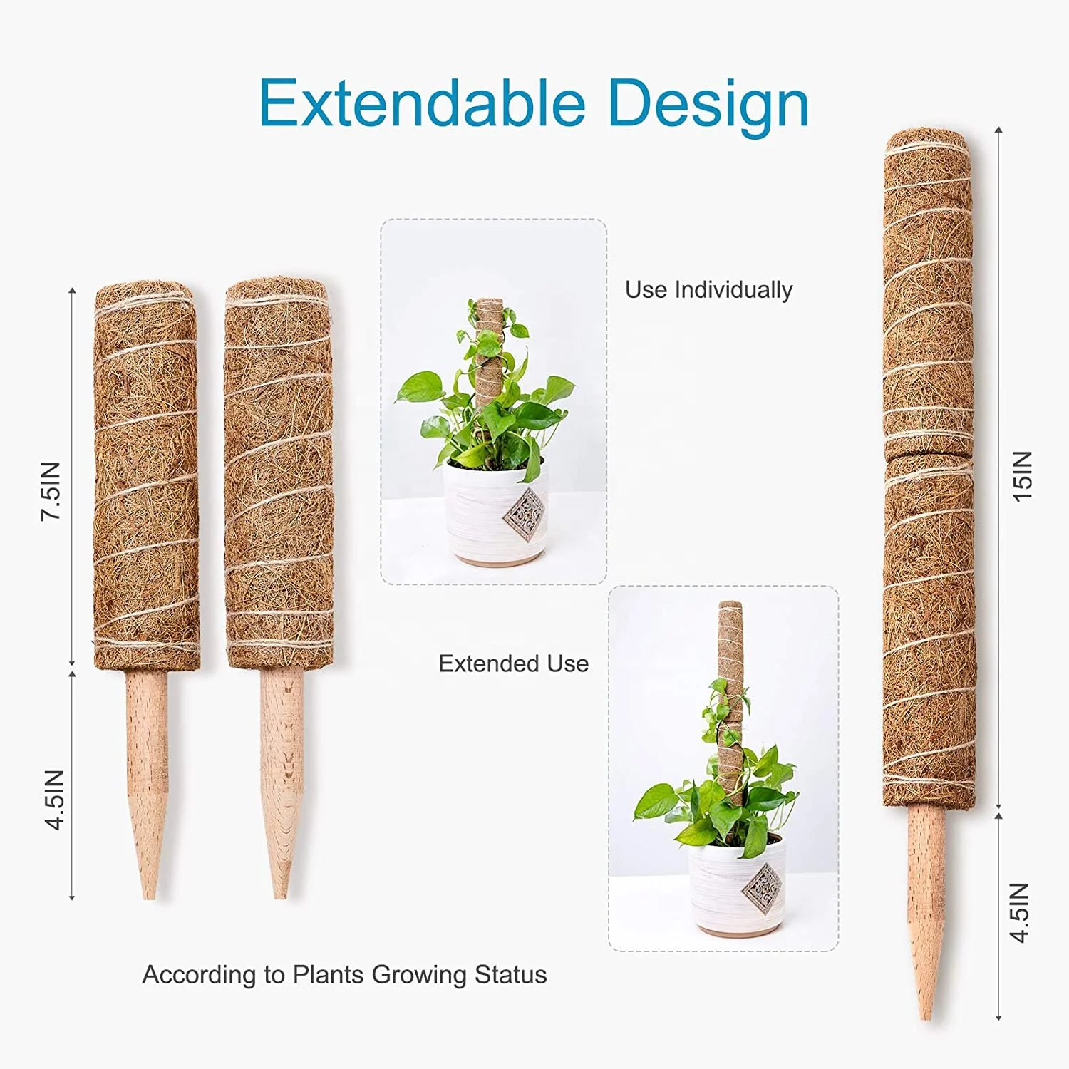 Coir Pole for Potted Plant 2 Pack  Plant Stake Support Gardening Tool Set and Garden Ties Coir Moss Stick for Plant Support