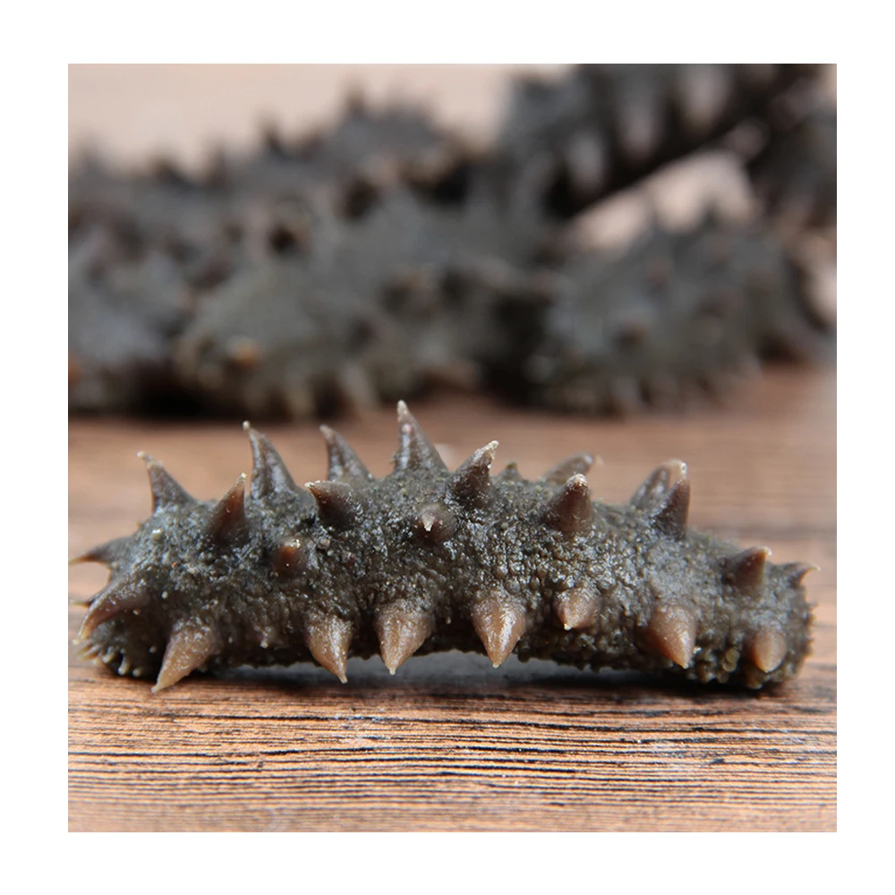 Сушеный морской огурец Black Pin Sea Slug по надежной цене