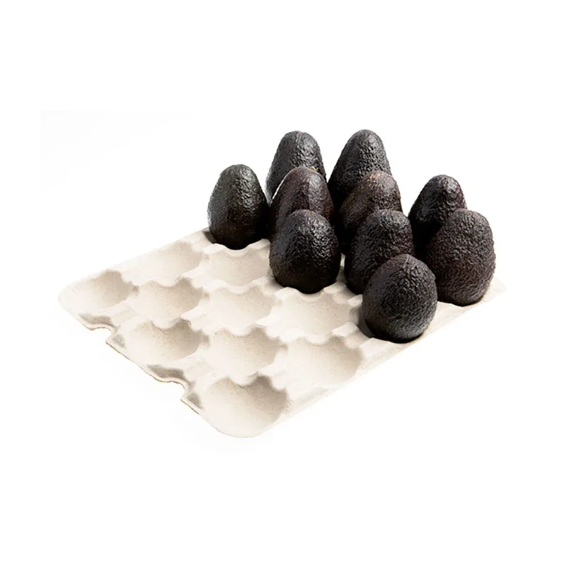 Top Quality 100% Eco-friendly Recyclable Biodegradable Protective Customized Molded Pulp Tray Packaging for Fruit Pulps Tray