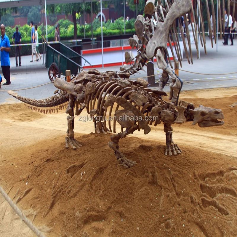 Factory Supply Prehistoric Animal Woolly Mammoth Fossils Skeletons Replica For Zoological Museum
