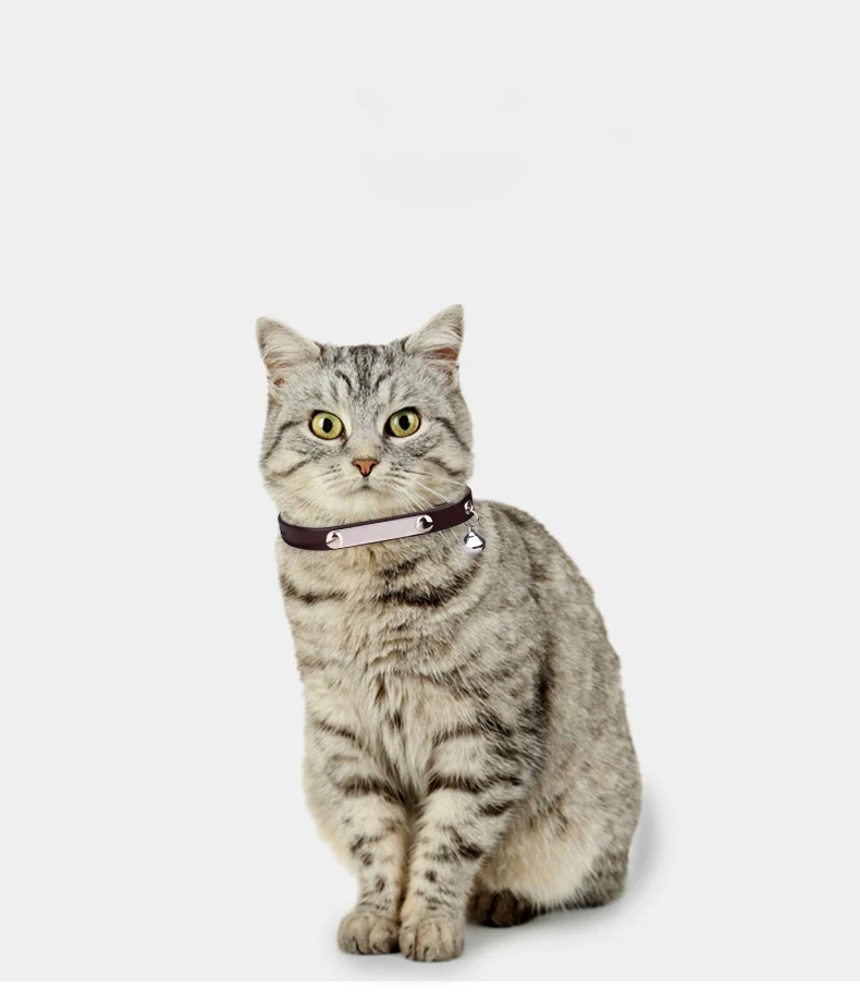 Head Layer Cowhide Adjustable Pet Collar Cute Bells Custom Lettering  Cat Collar