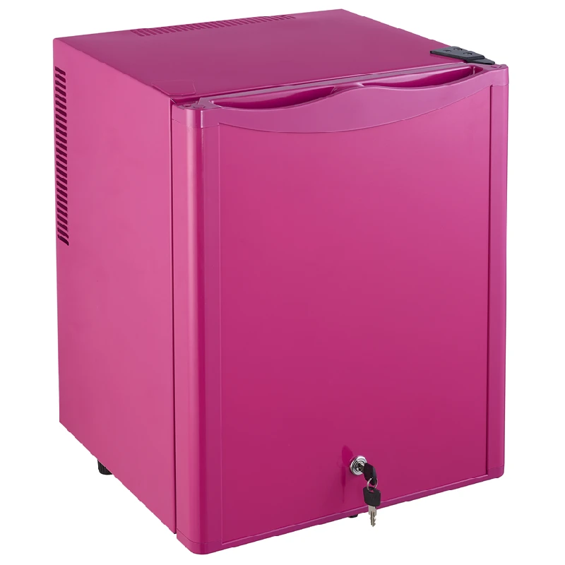 25L thermoelectric small fridge mini refrigerator cosmet fridg for home use