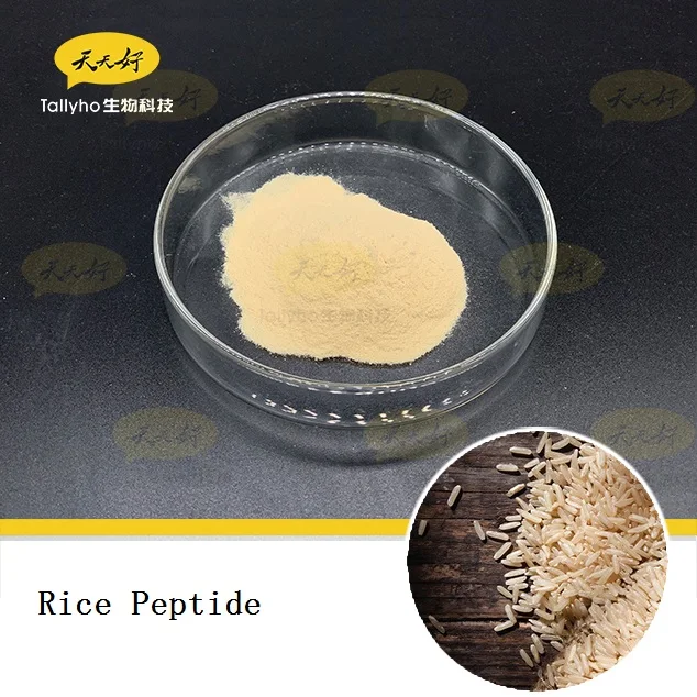 Natural rice peptide extract hydrolyzed protein peptide