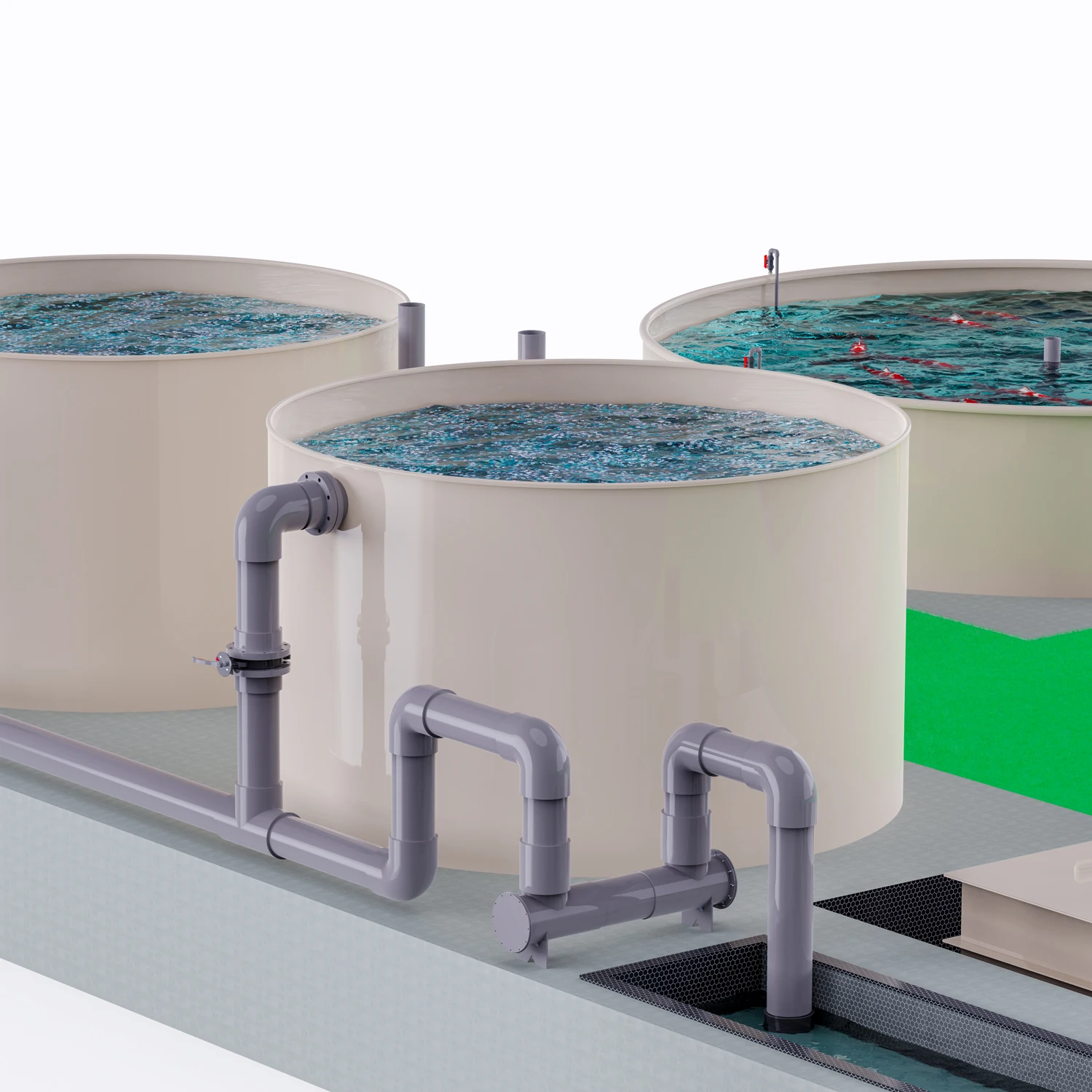 Aquaculture Equipment for Circulating Water Culture Fish Paragenesis Filter and Drum Filter with Protein Skimmer