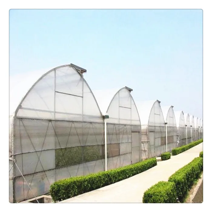  Cheap Price Shading System Plastic Shed Steel Frame Tomato Green House for