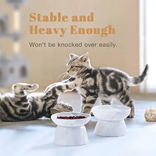IKITCHEN Dry Wet Food Water Bowl for Cats Dogs Small Elevated Pet Bowl Slow Feeder Ceramic Slow Feeder Cat Bowls Slow Feeder