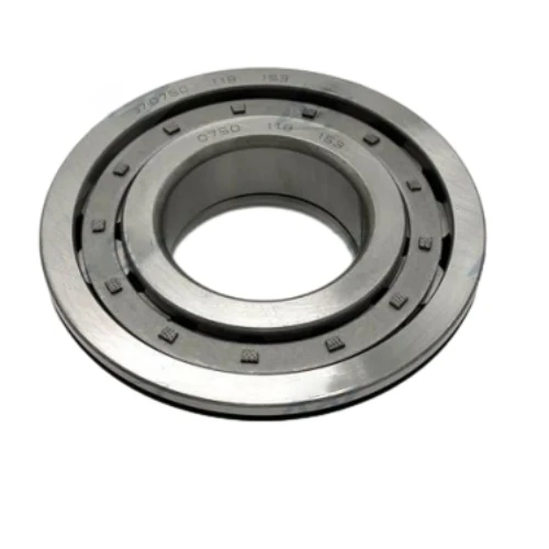 SUPAR  High Quality Cylindrical Roller Bearing Product 0750 118 153 For Z-F 16S130/160/190