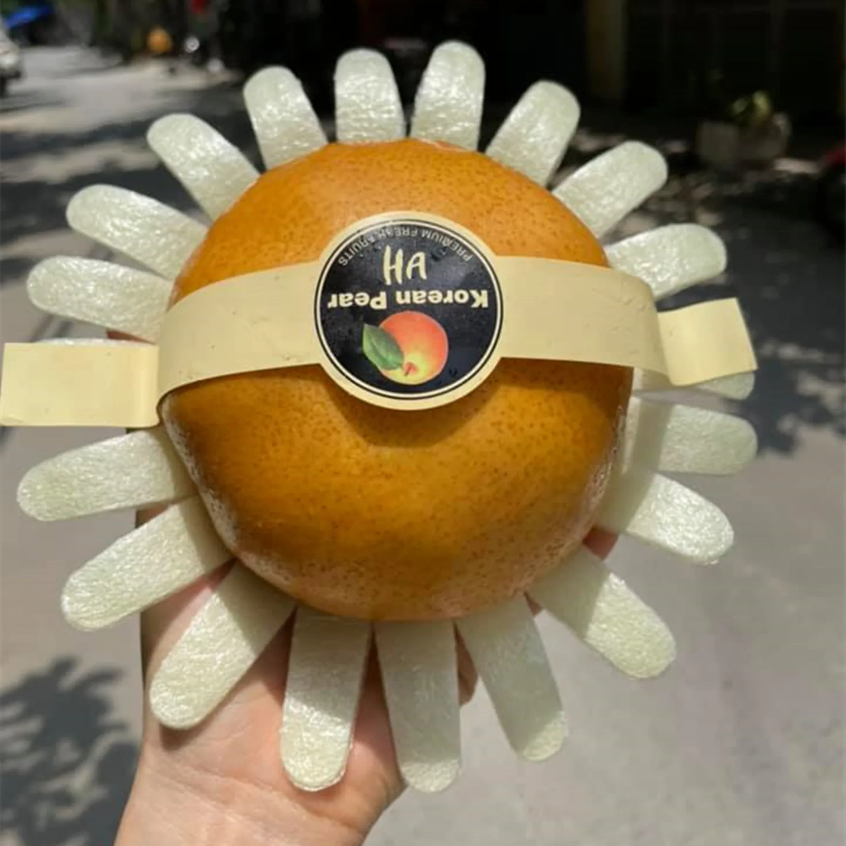 High Quality Fresh Pear Korea Pear Export To Vietnam