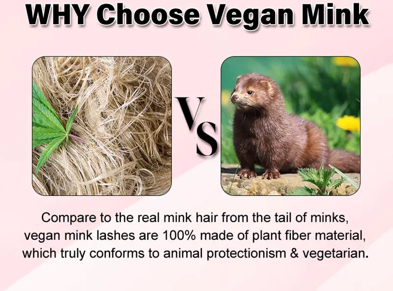 New Style Color Strip Lashes And Unique Custom Packaging Box Products China False Eyelashes Colorful