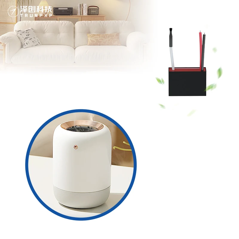 Easy Use bipolar Ionization 500mg per hour ionization negative ion generator anion generator