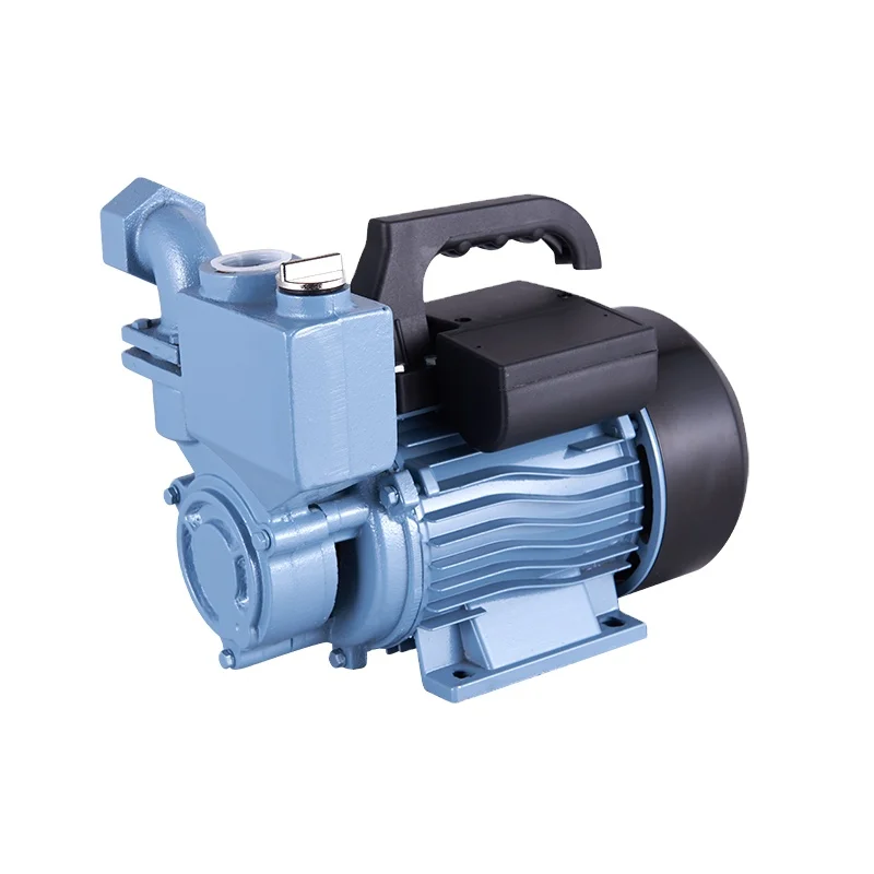 Chinese Manufacturer High Pressure Water Pump 1HP WZB Electric Self-priming Pump For Irrigation
