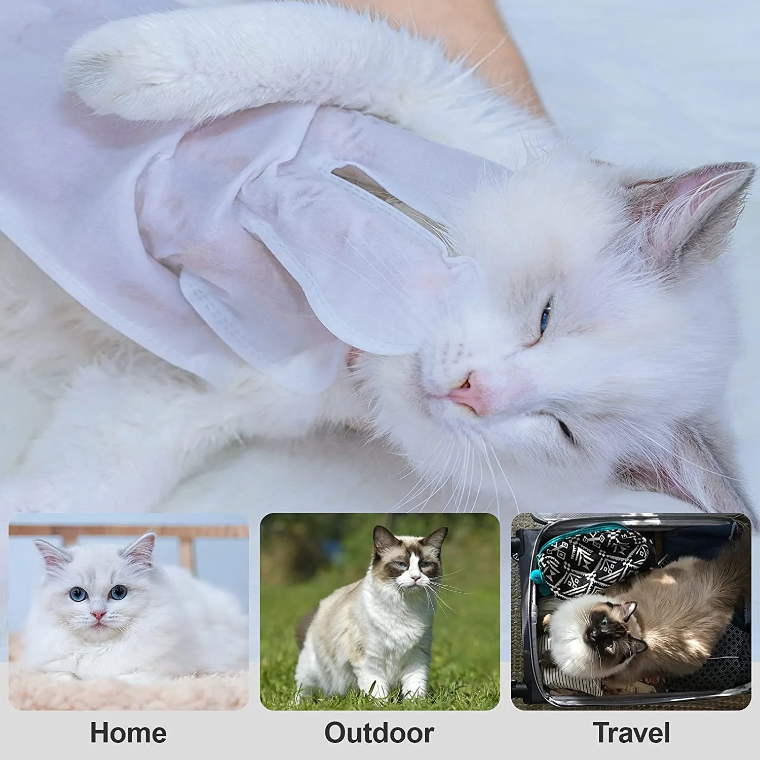 7pcs/box Hot Sale wash-free non woven household clean non irritating five finger dog cat wet wipes pet gloves