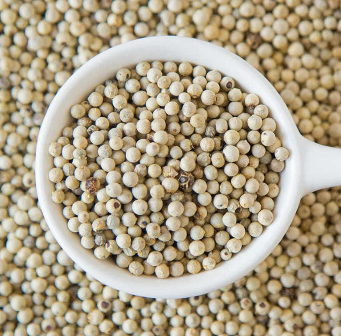 Supply whole Specifications Vietnam White Pepper high quality Peppercorn White Pepper