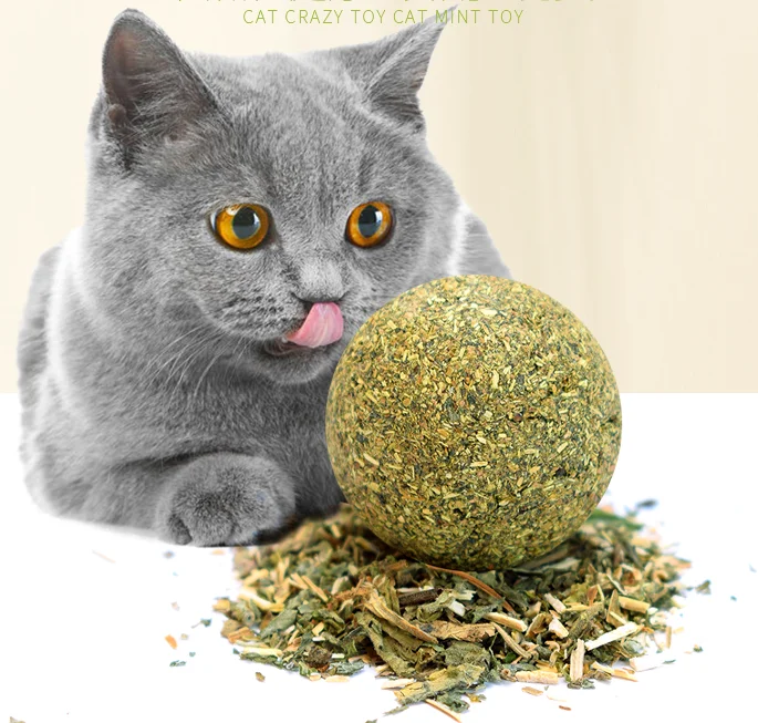 
Leyou Pet mint ball nip toys 