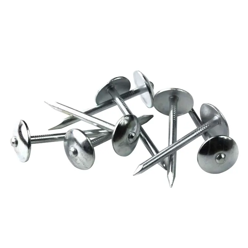 China hot sale 5.5mmx60mm umbrella head smooth twisted galvanized roofing nails for congo