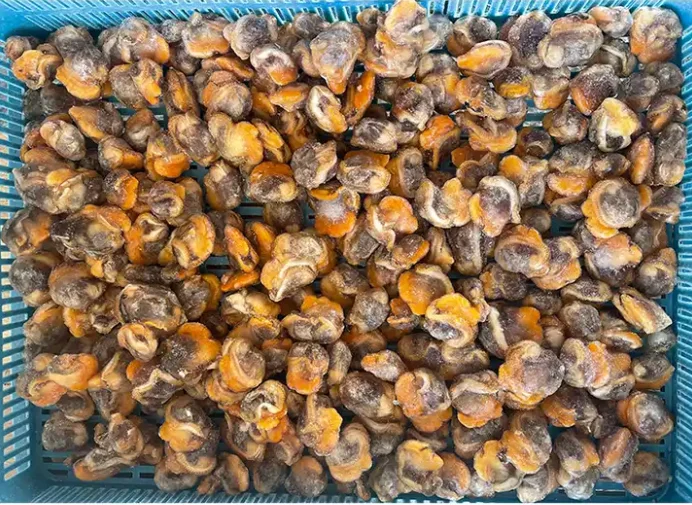 Премиум качество морепродуктов вареное свежее сырье мясо моллюсков горячий продавец