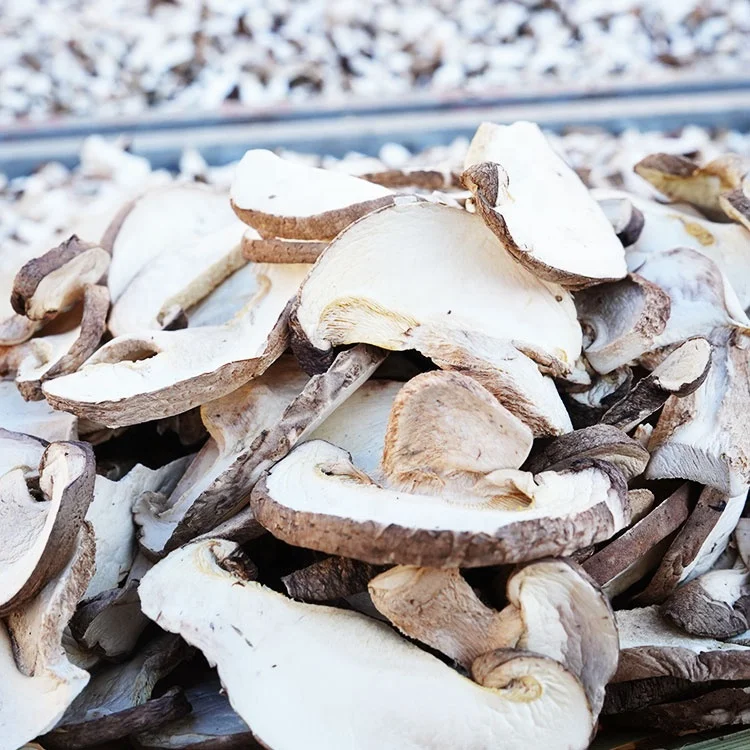 
high quality dried shitake mushroom organic dried food high quality shiitake mushroom wholesale price 