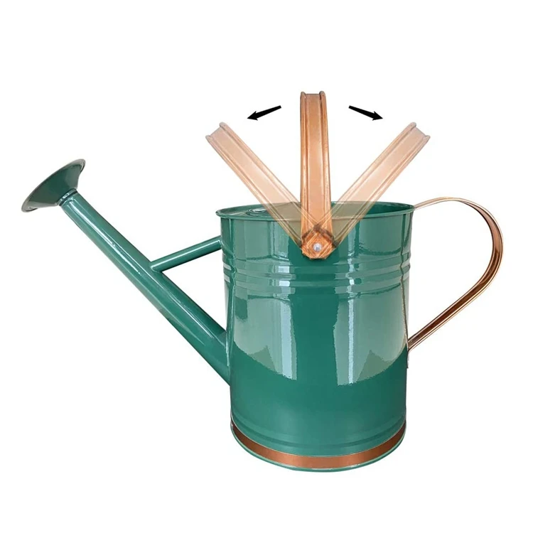 Garden supplies 3.8L water sprinkler head galvanized watering can for garden
