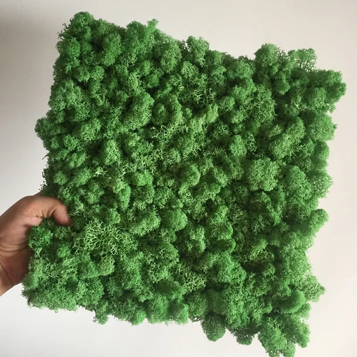 Interior Decoration Office Green Wall Panels Reindeer Preserved Moss