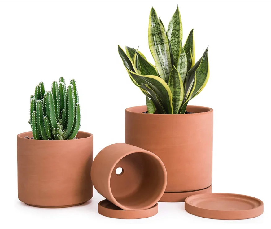 Terracotta Pots  Leaves Pattern Planter Pot