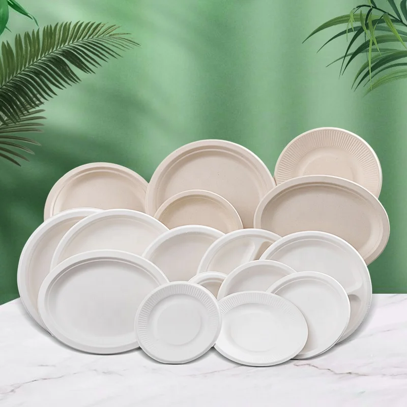 Tableware Sets Biodegradable sugarcane bagasse takeaway paper plate Food Container disposable oval party plate