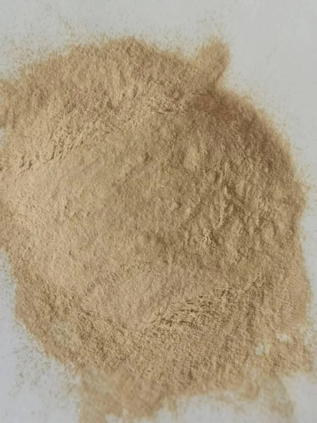 Порошок bacillus amyloliquefaciens wp, жидкость bacillus amyloliquefaciens для продажи