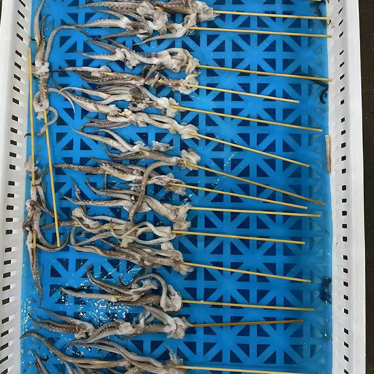 Squid Tentacles Illex argentina Squid Skewers gigas squid