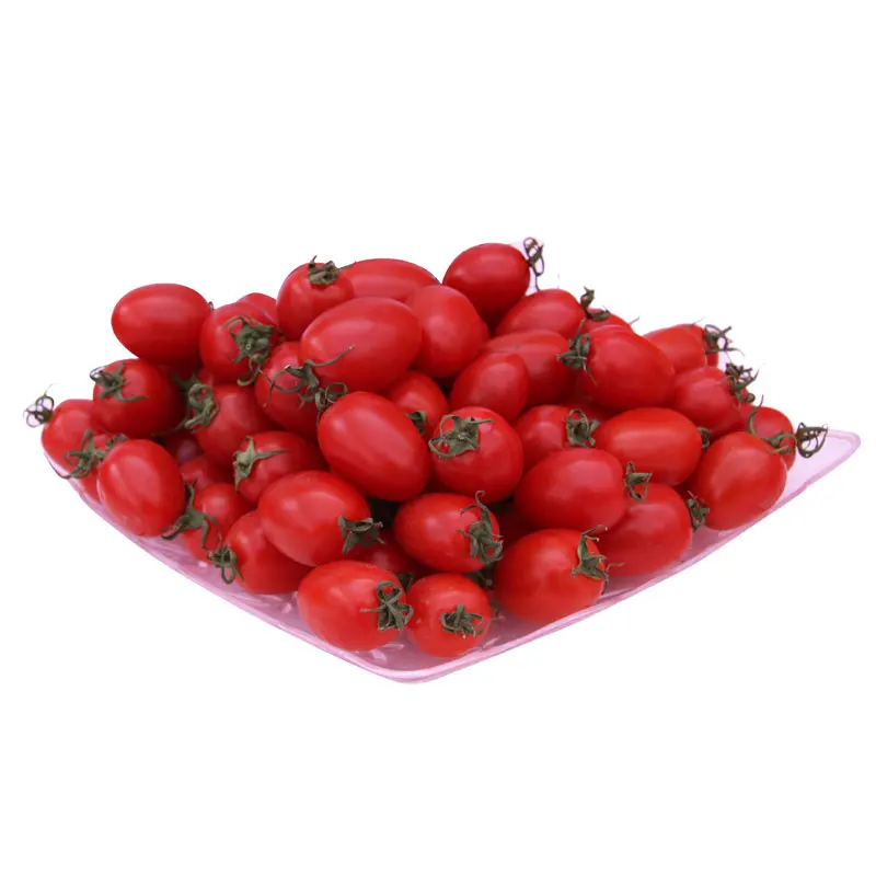 chinese vegetable seed supply mini red cherry tomato seeds
