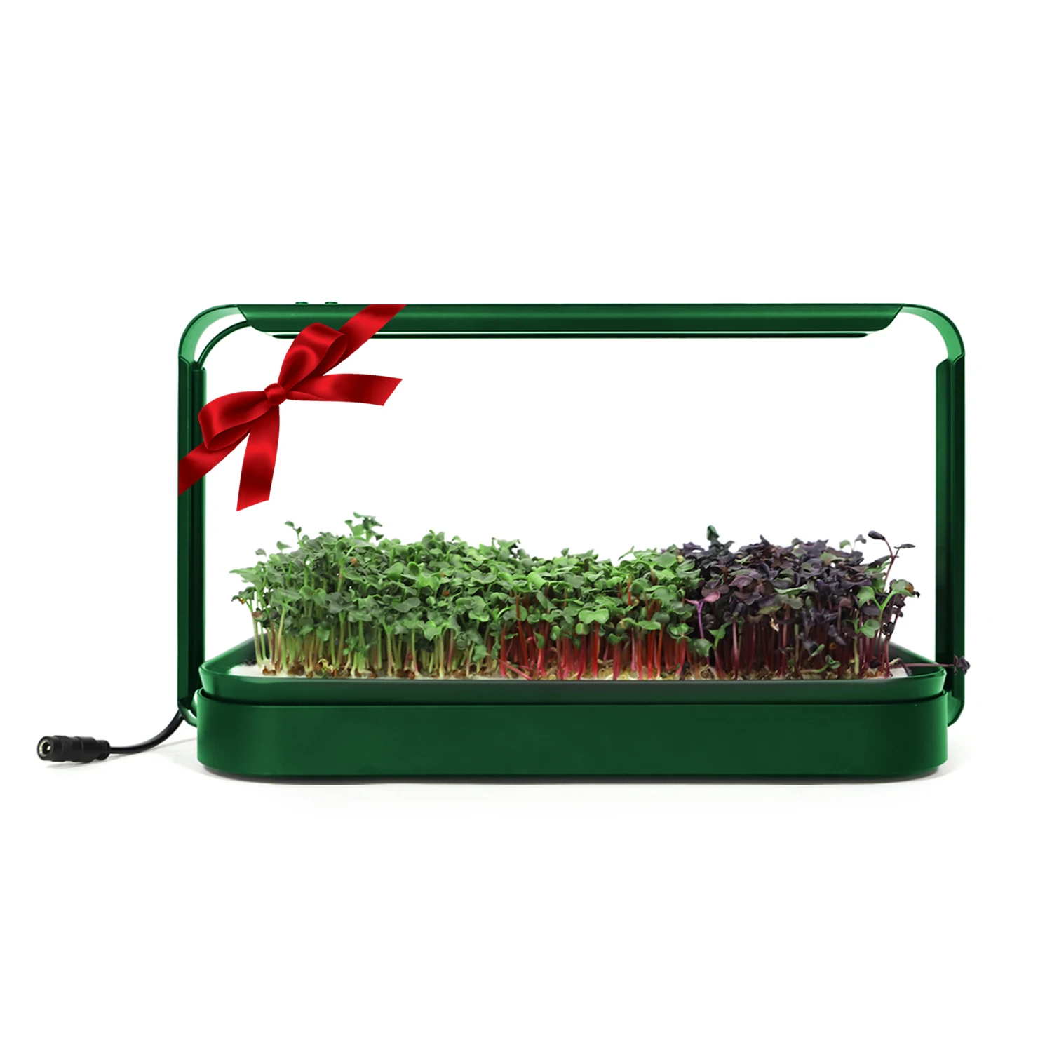 Christmas Festival Gift Smart Timer Hydroponic System Indoor Garden Nursery Tray Mat Kitchen Microgreens Kit with Lid Grow Bag