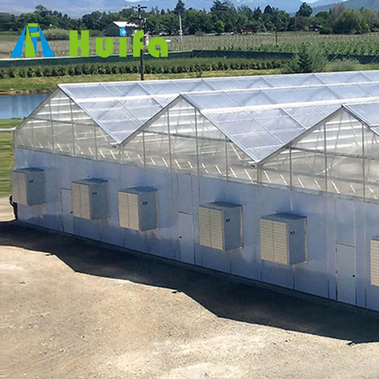 PC Sheet Frame Green House Plant Growing Commercial Greenhouse Kit House Hot Sale