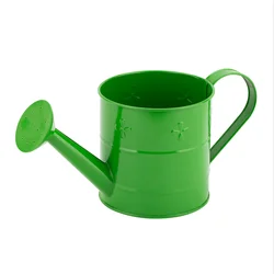 Custom Garden Indoor Stainless Steel Plant Metal Watering Can