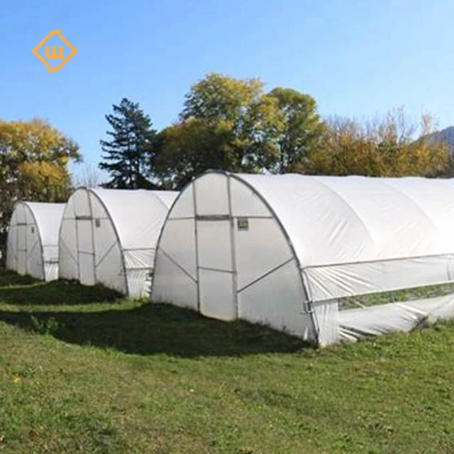 Modern agricultural commercial single-span polycarbonate plastic film tomato and strawberry planting greenhouse