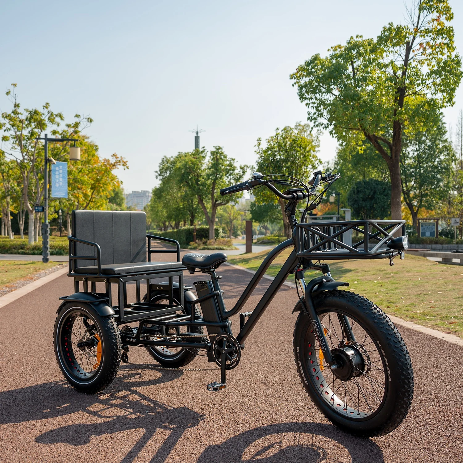 Cargo Tricycle Electric Bike Family 3wheel Electric Bike 2 Person Seat Electric Tricycle With Passenger Seat